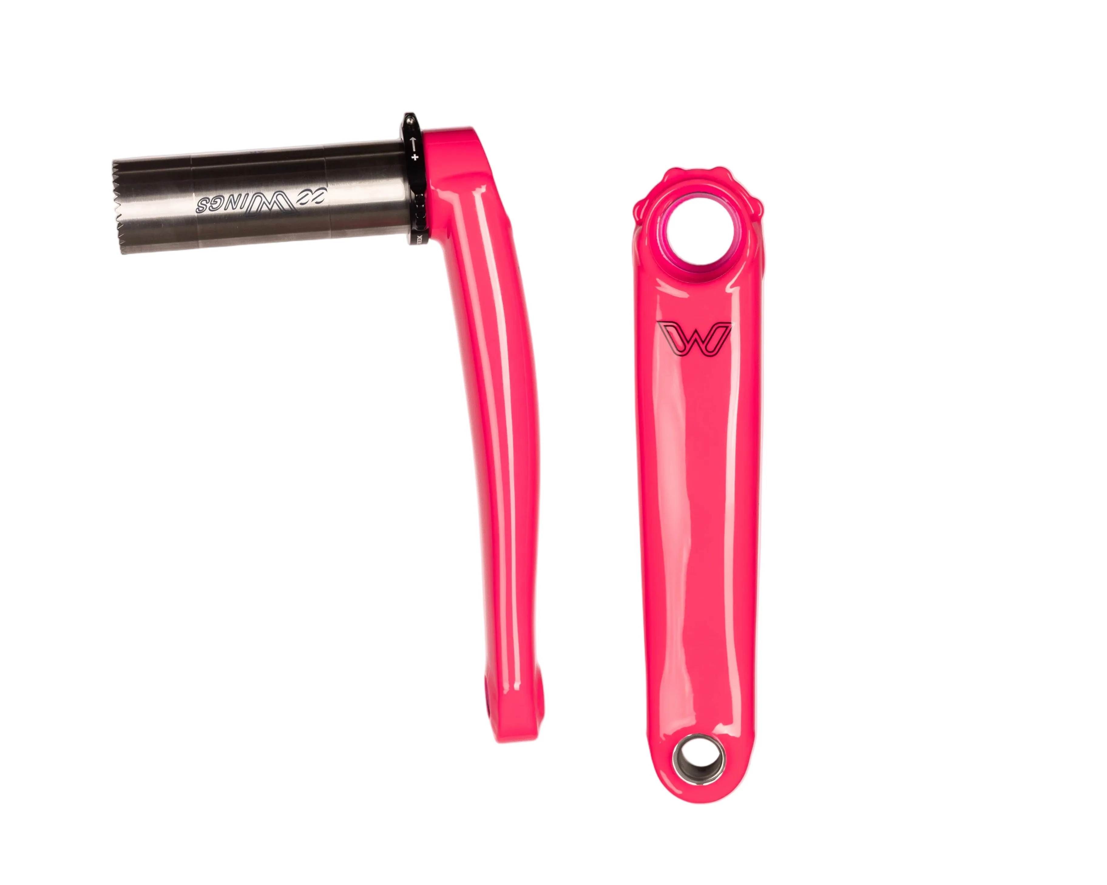Limited Edition: Flamingo - Image 9