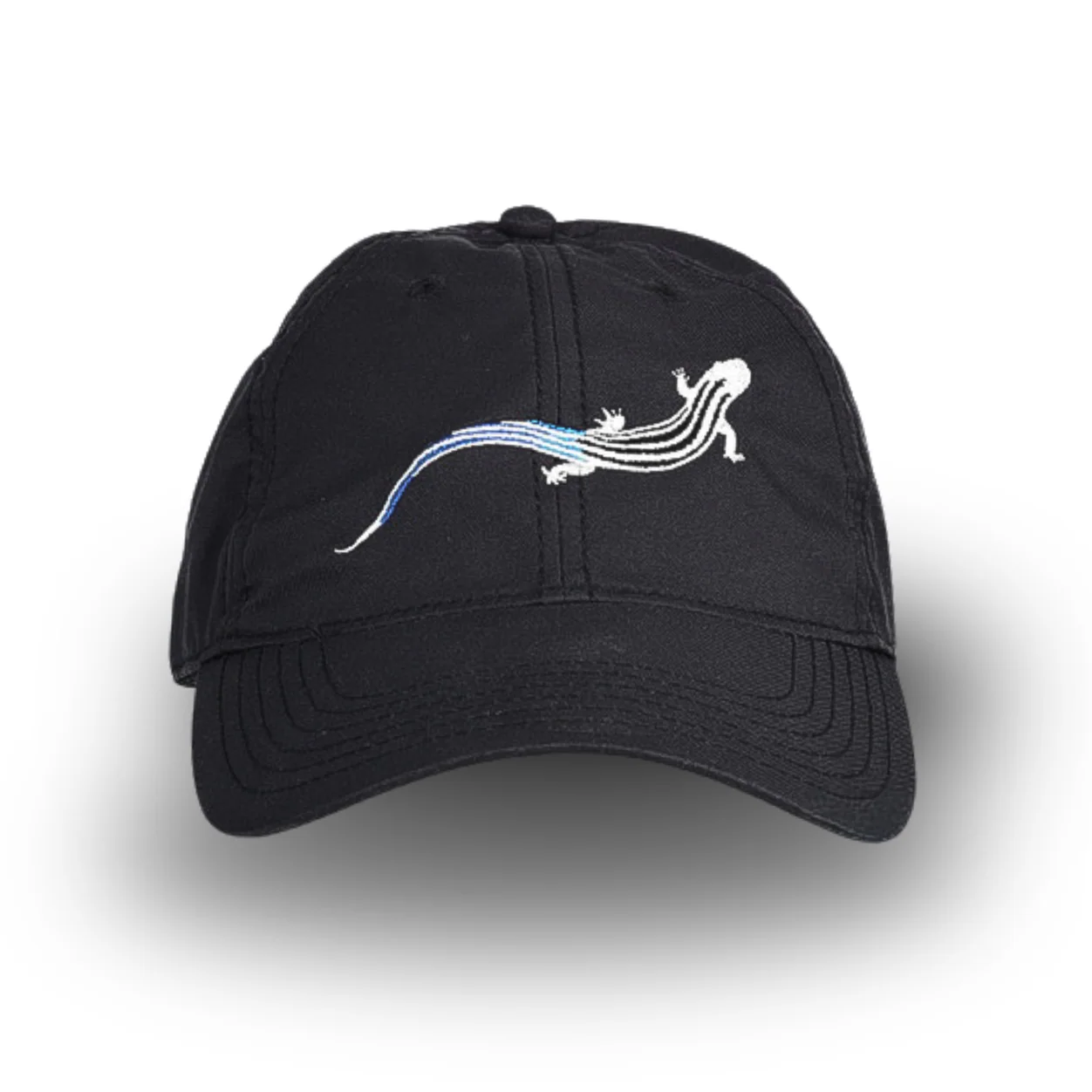 Embroidered Dad Hat